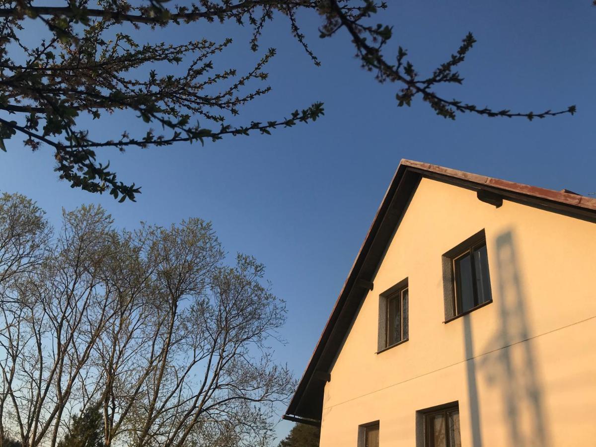 Apartman Ivko Letohrad Dış mekan fotoğraf