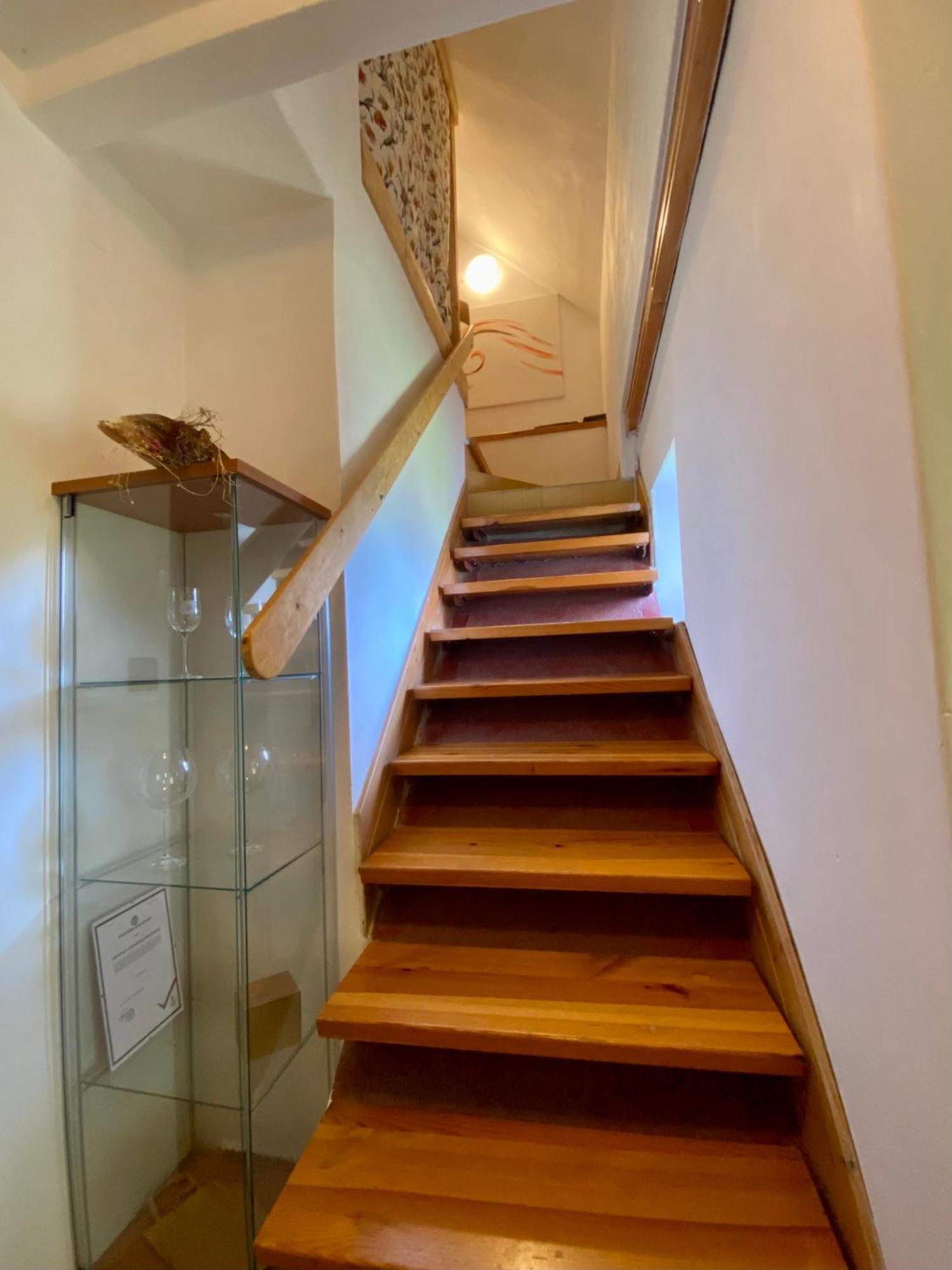 Apartman Ivko Letohrad Dış mekan fotoğraf